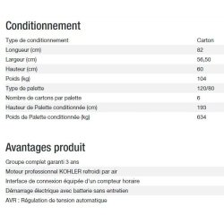 Technic 6500 E AVR UK C5 - Groupe électrogène Kohler - Puissance maximale 6,30 kW - 230V - 50Hz