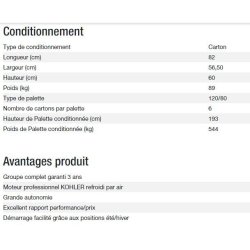 Perform 6500 XL C5 Groupe électrogène - Kohler - Puissance max 6,5 kW - 50 Hz - 230 V