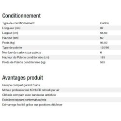 Perform 7500 T C5 groupe électrogène - Kohler - gamme PERFORM - puissance max 6,50 kW / 8,10 kVA - 50 Hz