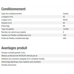 Groupe électrogène Technic 6500 E - Kohler - Puissance max 6,30 kW - 50 Hz - 230 V
