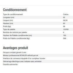 Technic 6500 E C5 Groupe électrogène - Kohler - 6,30 kW - 50 Hz - 230V