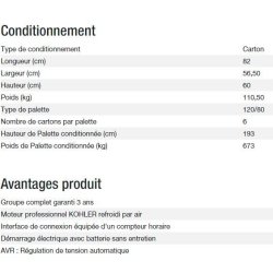 Technic 7500 TE AVR groupe électrogène - Kohler - 6,50 kW - 8,10 kVA - 400 V - 50 Hz