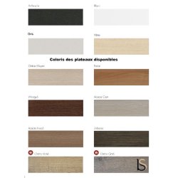 Comptoir d'accueil droite Delta Plus - Mobel Linea - 144, Wenge, Blanc, Non