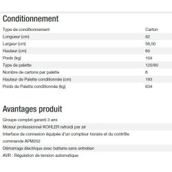 Technic 6500 E AVR M groupe électrogène - Kohler - 6,30 kW - 50 Hz - 230 V