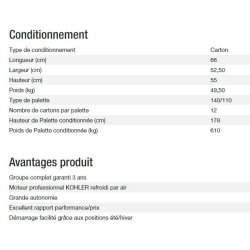 3000 XL TB UK C5 - Groupe électrogène Kohler - Gamme PERFORM - Puissance max 2,80 kW - 230V - 50 Hz