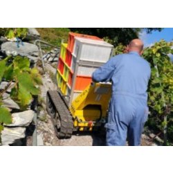 DCT-300P mini-dumper - Alitrak - 600 kg - tout-terrain, compact et électrique