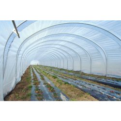 Serre tunnel Val de Loire à pied droit - Longueur 10 m - Pro 5 m