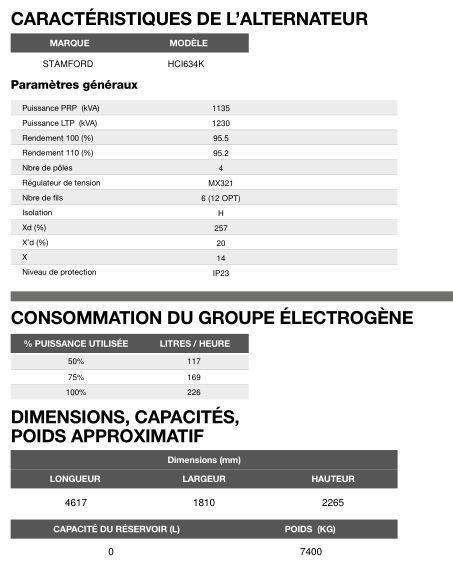 AT-1230 - Groupe électrogène en container triphasé 50 Hz 1.230,0 kVA - Inmesol - Moteur MTU et alternateur Stamford_5