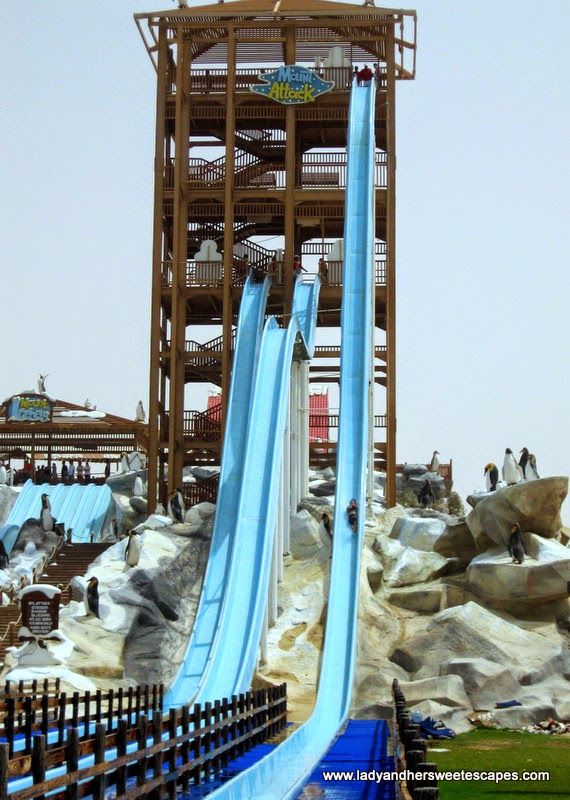 Toboggan - Crazy Cruise - Large choix de couleurs pour les glissières_5