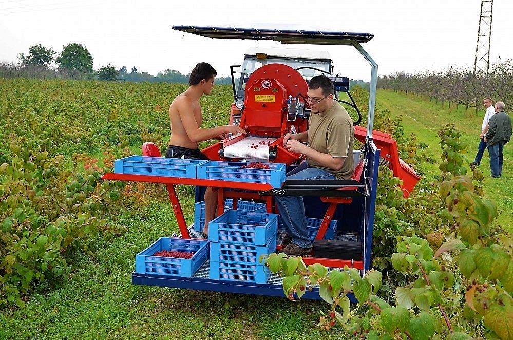 Récolteuse de framboises JAREK 5R - Jagoda JPS, avec système de nettoyage et tête spéciale_5