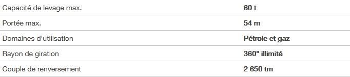 RL 2650 - Grue portuaire offshore Liebherr - Capacité de levage max 60t et portée max 54m_5