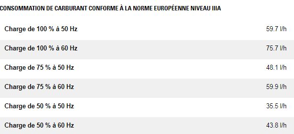 Qp275 (50/60 hz) groupes électrogènes industriel mobile de location - caterpillar - puissance principale 275 kva_5