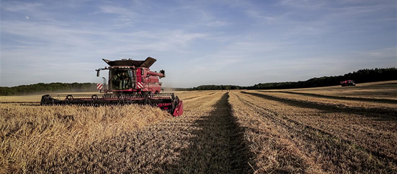 Moissonneuse-batteuse Axial-Flow série 140 - Case IH - largeur 3.7 à 4.6 m - trémie 8810 à 10570 L_5