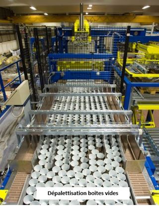 Palettiseur et dépalettiseur pour l'agroalimentaire, la conserverie - MECTRA_5