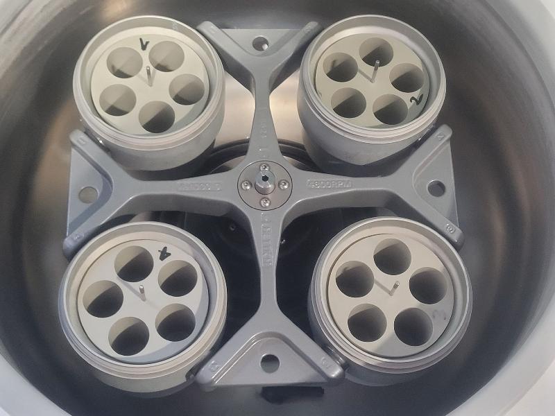 Centrifugeuse réfrigérée HETTICH ROTANTA 460R avec rotor 5624_5