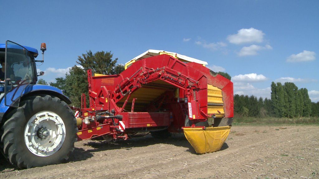 Arracheuse Grimme avec hauteur de déchargement jusqu'à 4,2 m