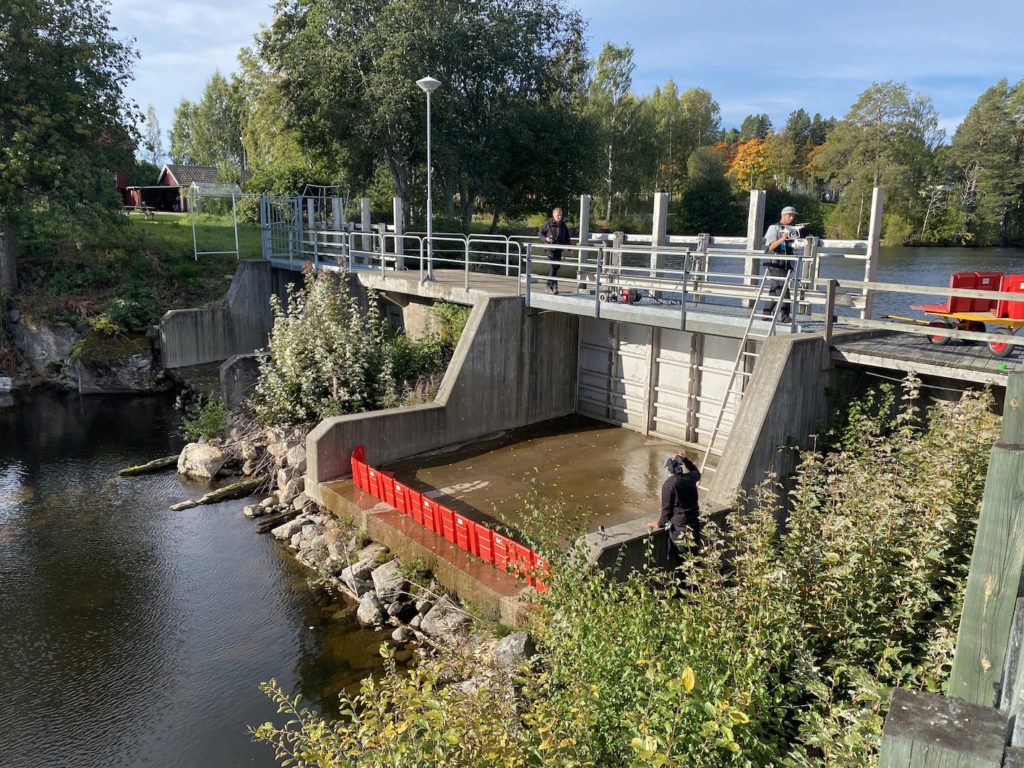 Dispositif anti-inondation démontable - Mobile, auto-stable et léger - Noaq Boxwall - Hauteur de protection 1m_5