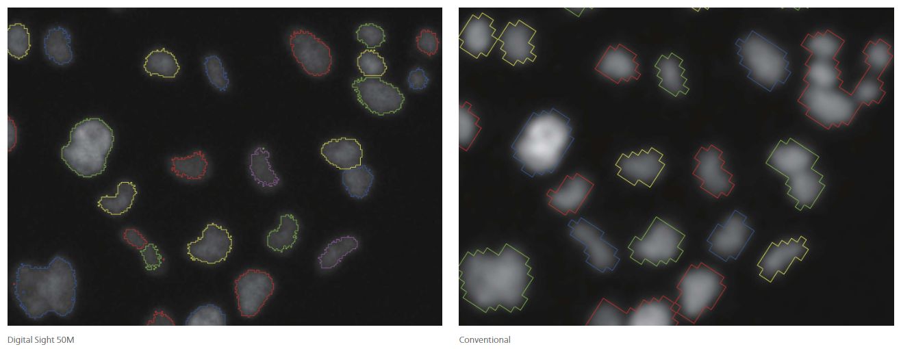 Appareil photo numérique avec vue de la plaque et détection automatique des régions d'intérêt