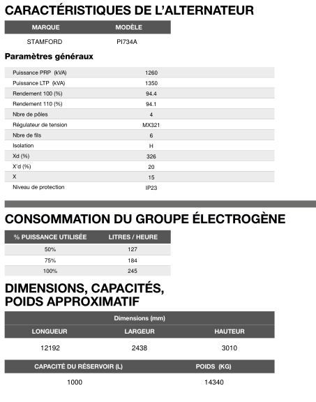 Ct-1350 - Groupe électrogène en container 50 Hz triphasé - Inmesol - 1256 kVA PRP / 1350 kVA LTP - Moteur MTU - Alternateur Stamford_5