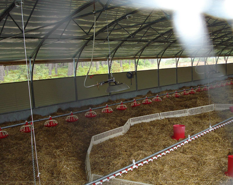 Tunnel polyvalent pour élevage avec panneaux sandwichs