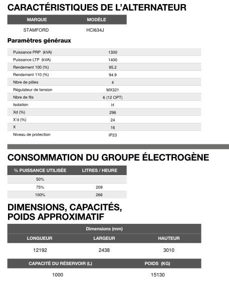 CP-1405 60 Hz triphasé - Groupe électrogène en container Inmesol - 1256 kVA PRP / 1383 kVA LTP_5