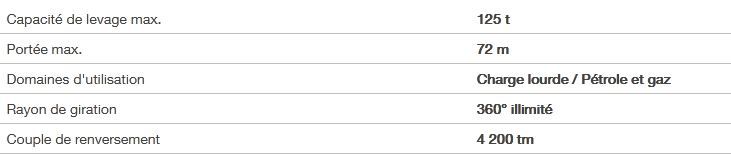 BOS 4200 - Grue portuaire offshore Liebherr - Capacité de levage max. 125t - Portée 72m_5
