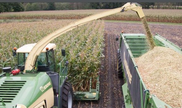 Big X 480 | 530 | 580 | 630 - Ensileuse automotrice Krone - Puissance continue de 490 à 626 chevaux_5