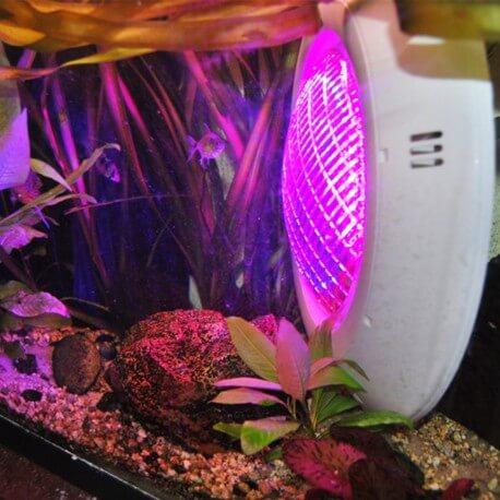 Projecteur LED RGB 35W extra-plat pour piscine - Étanche IP68 avec télécommande et 19 modes d'éclairage_5