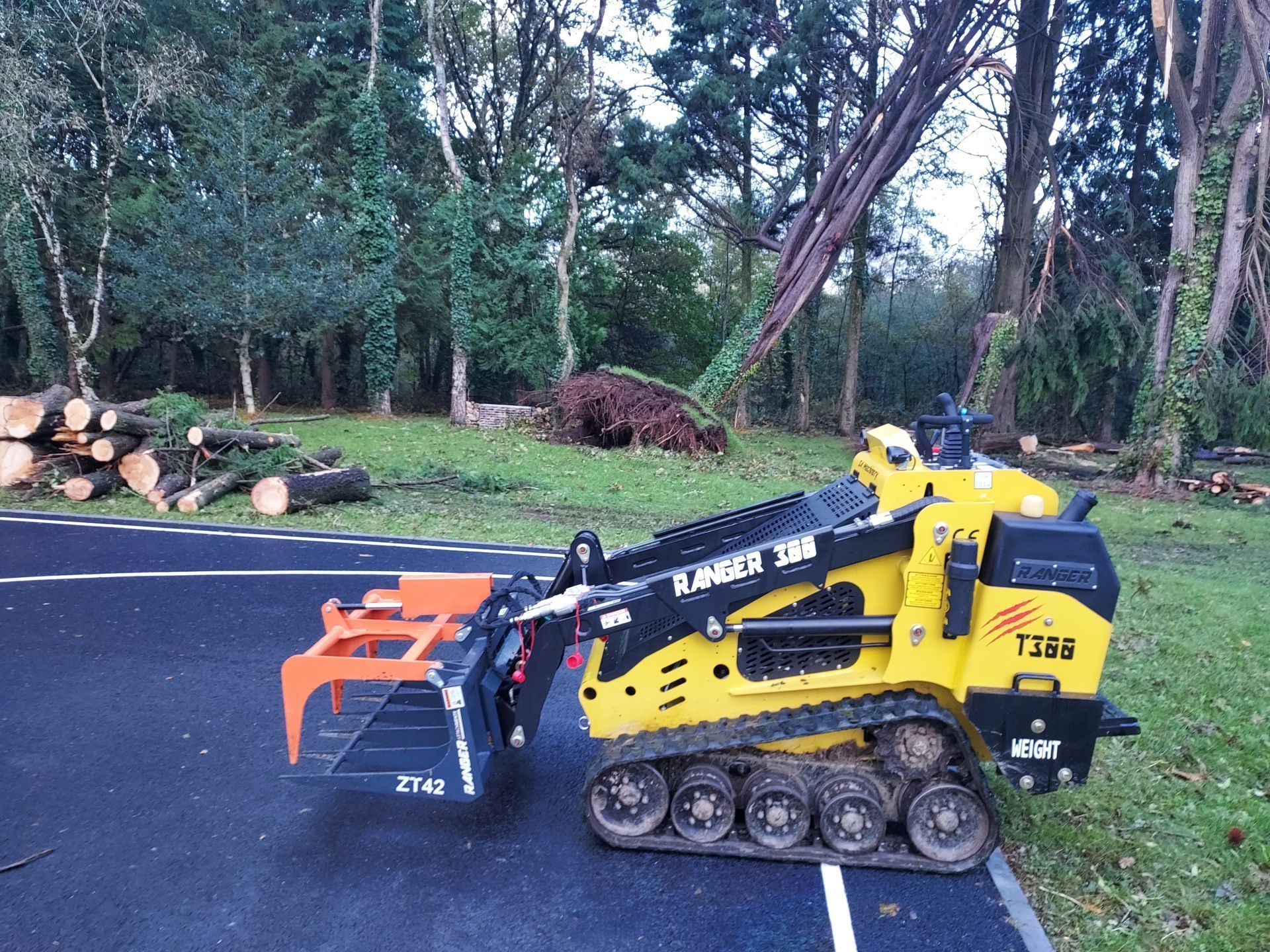Mini chargeuse diesel RANGER 300T avec moteur Kubota 25hp