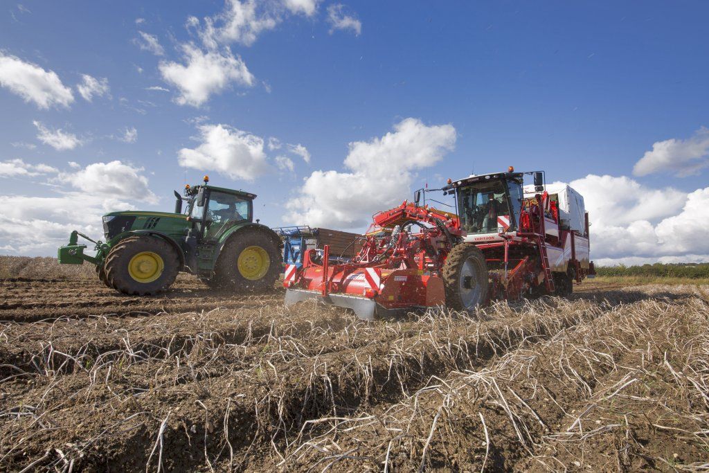 Récolteuse automotrice Varitron 220 Platinum Terra Trac - 2 rangs - Grimme France - vitesse jusqu'à 25 km/h - moteur 160/354 kW/CV_5