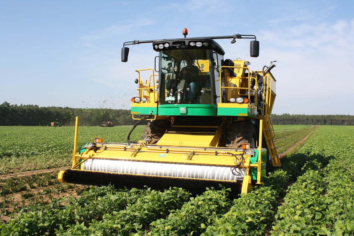 Arracheuse oxbo 2475 - oxbocorp - longueur sans tête 9.2 m - largeur 3.43 m_5