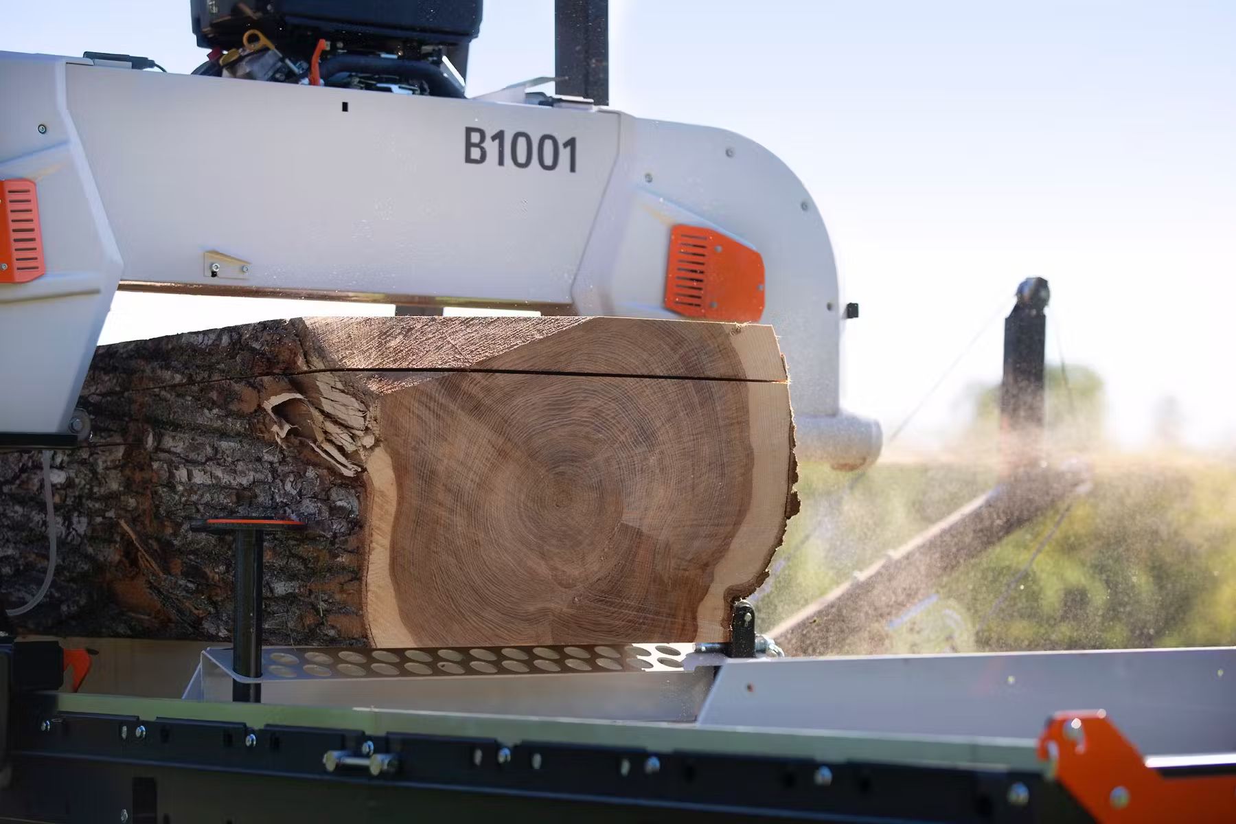 Scierie à ruban 1001, Pro Set (automatisme), thermique ou éléctrique - LOGOSOL_5