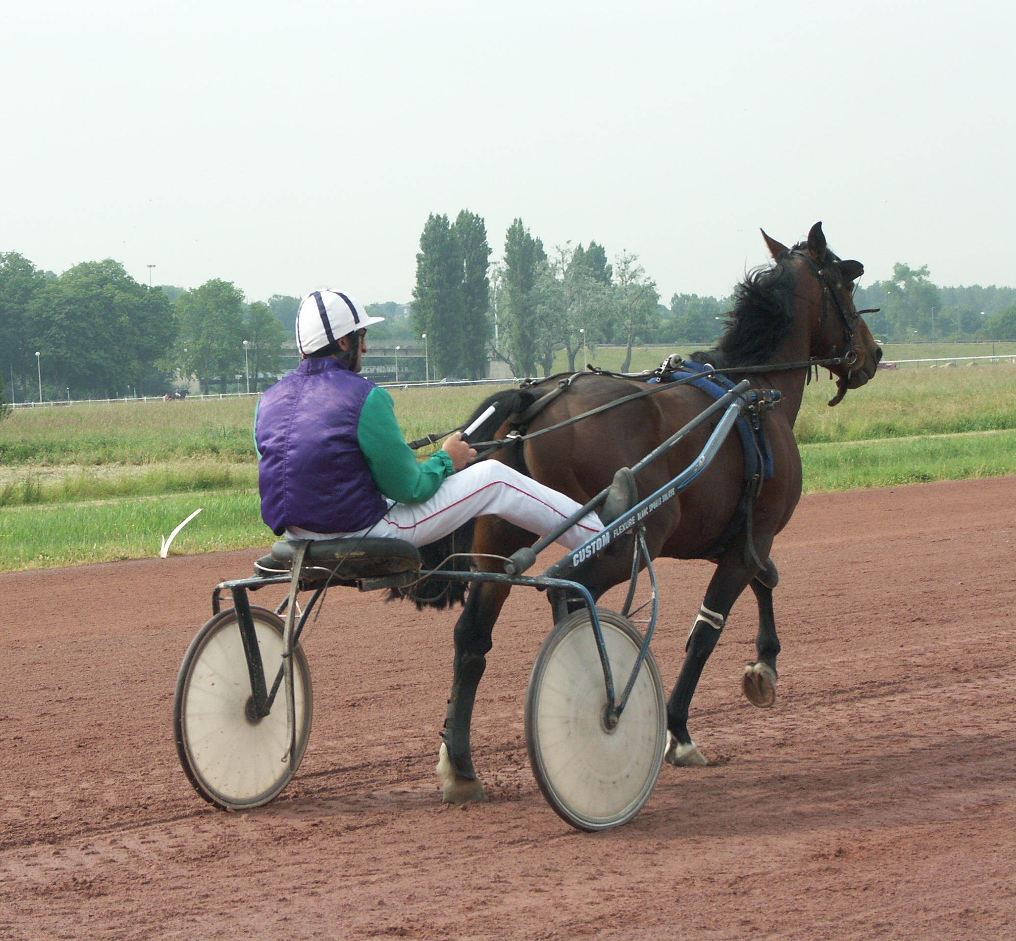 Sables spécialisés pour pistes équestres