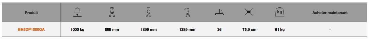Vérin de fosse hydraulique double pistons 1 T - BH5DP1000QA_5