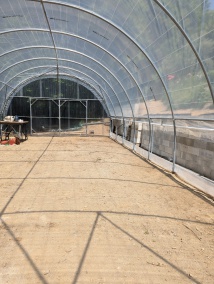 Serre de jardin modèle tubulaire à porte battante ou coulissante_5