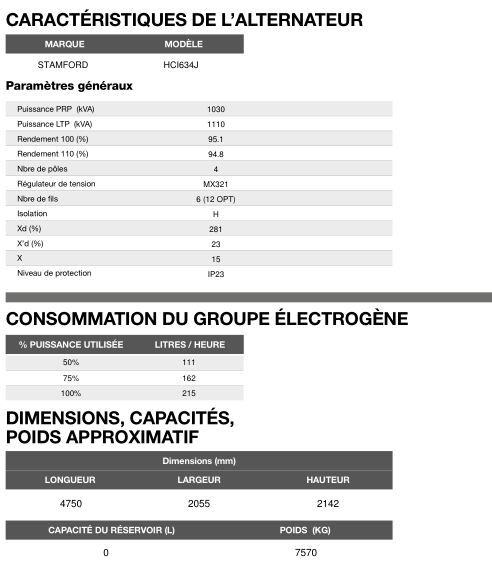 AP-1135 50 Hz triphasé - Groupe électrogène en container 1110 kVA avec moteur Perkins et alternateur Stamford_5