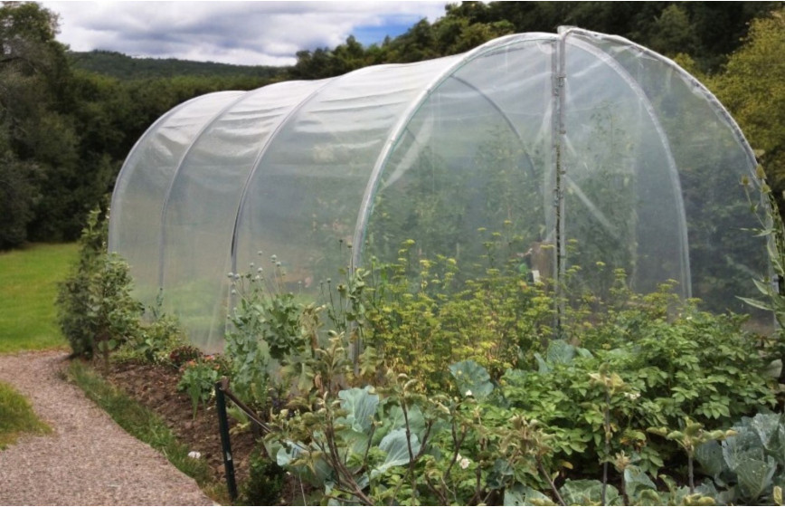 Serre de jardin simple, fonctionnelle et pratique pour tous les jardins en gardant une hauteur conséquente- ESSENTIELLE_5