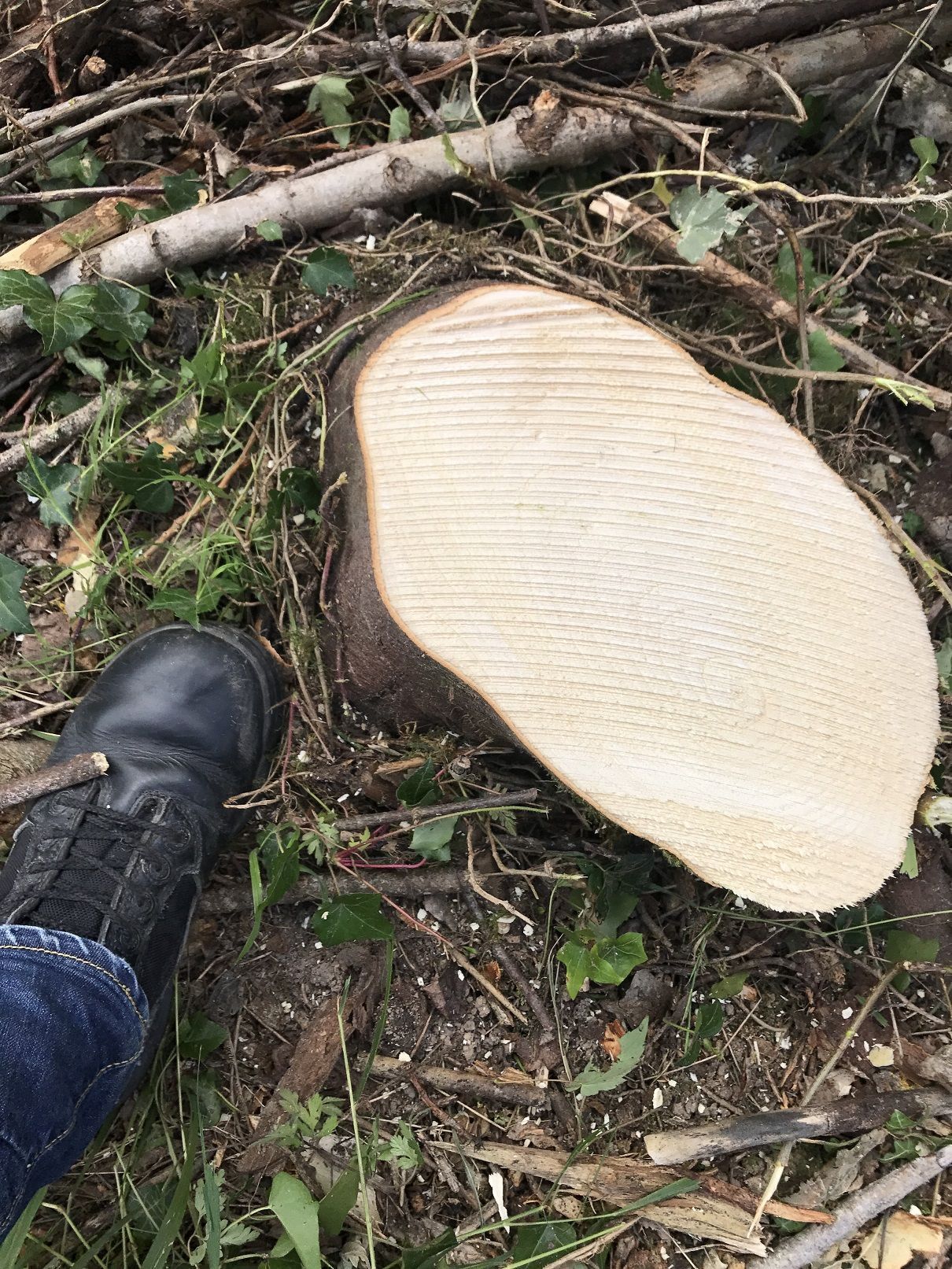 Outil de coupe forestier avec débit hydraulique 130-200 l/min