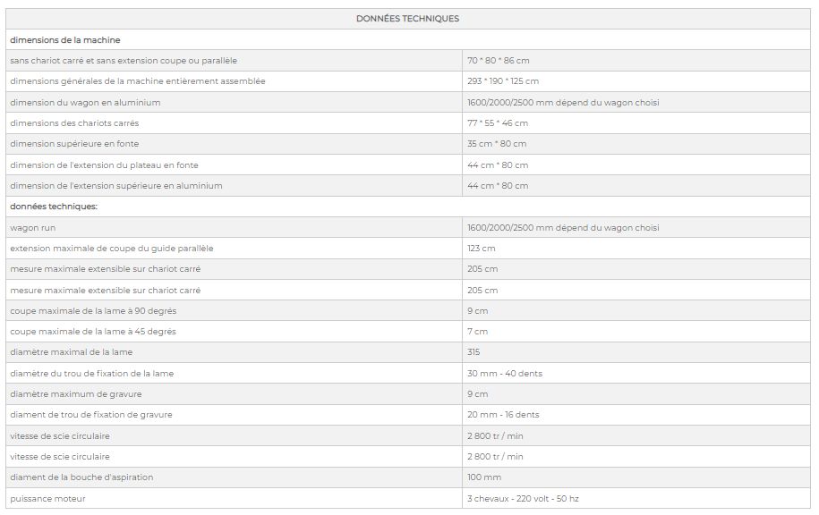 Sc4 2600 - Scie à format avec rainureuse - DM Italia SRL - diamètre maximum de gravure 9 cm - DMcipSC42_5