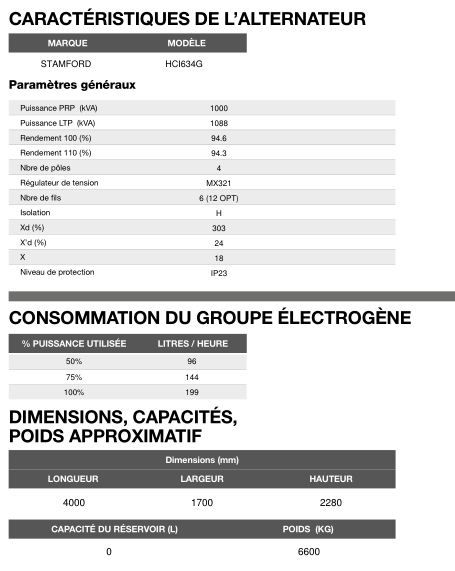 Ap-955 - Groupe électrogène en container triphasé 60 Hz - 937,1 kVA - INMESOL_5