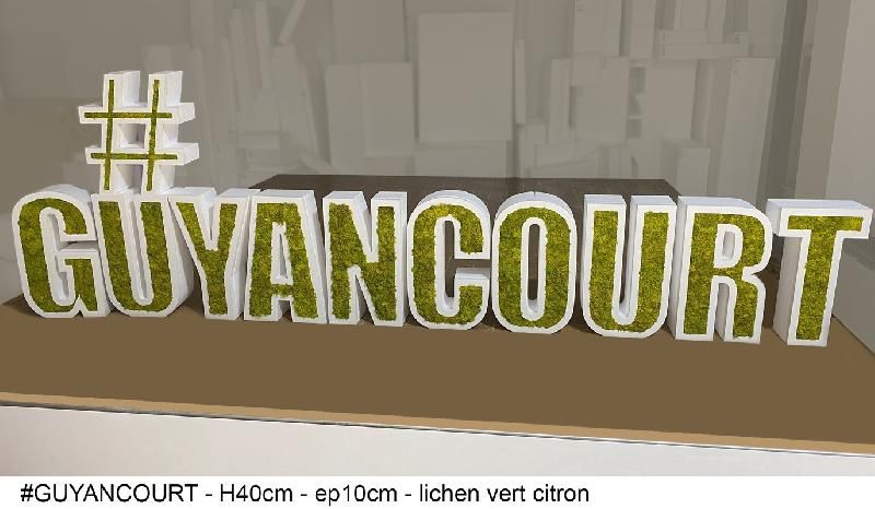 Lettres et/ou logo en polystyrène 3D et lichen scandinave - rouge_5