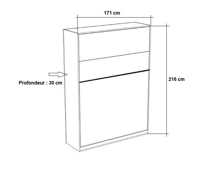 ARMOIRE LIT ESCAMOTABLE GENIUS GRIS MAT OUVERTURE ASSISTÉE COUCHAGE 160*200_5