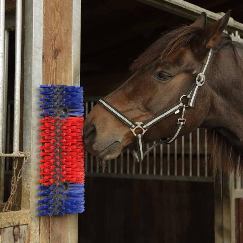 Kerbl brosse à gratter pour bétail 50 cm 293100 423473_5