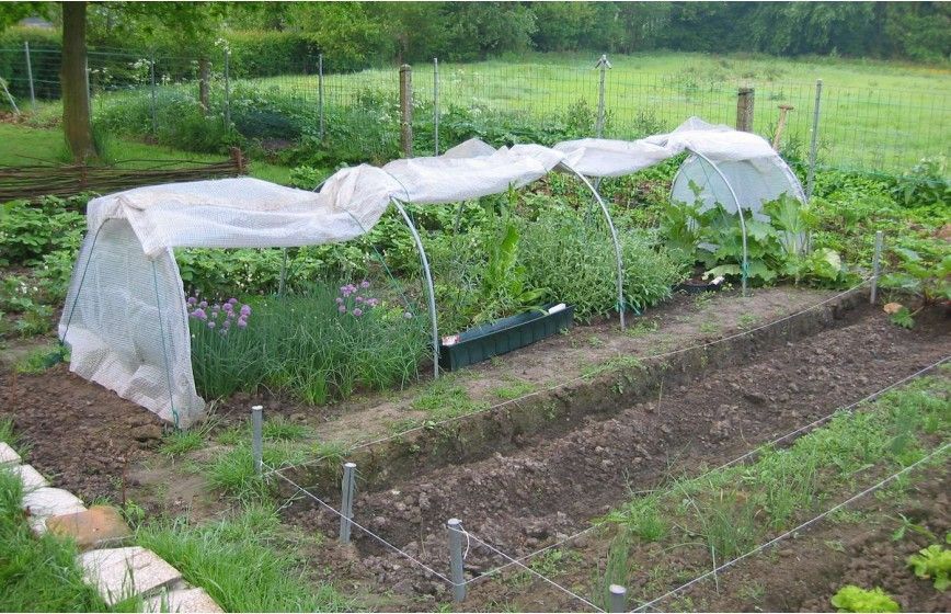 Tunnel de forçage idéal pour la protection de vos cultures hâtives de printemps et vos plantations d'automne_5