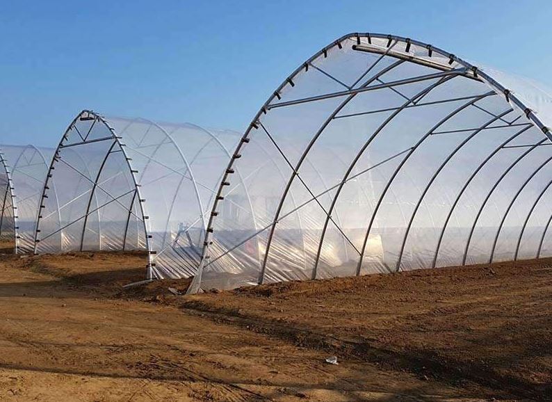 Serre à travée unique  idéale pour les agriculteurs et les amateurs - Tunnelart_5