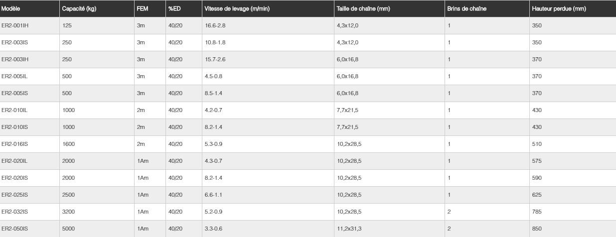 Palan électrique à chaîne ER2 KITO - variation de vitesse - capacité 125 kg à 5 t_5