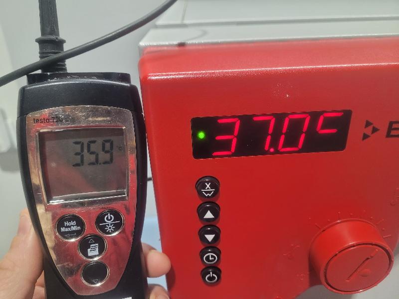 Incubateur / étuve BINDER BD-53 avec convection naturelle 100°C_5