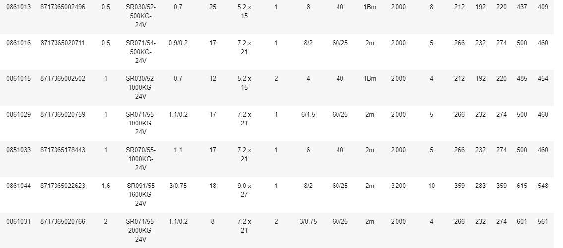 Palan électrique à chaîne REMA série SR - 3 m de levée - haute performance et sécurité - Rema Holland B.V._5