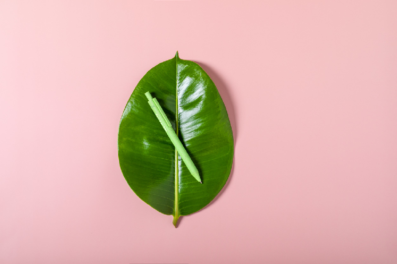 Stylo à bille écologique - plastique paille de blé - encre bleue - couleur verte_5