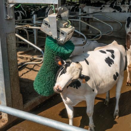 Brosse rotative verticale pour le nettoyage, le soin de la peau et le pelage de la vache - AGRICOW_5